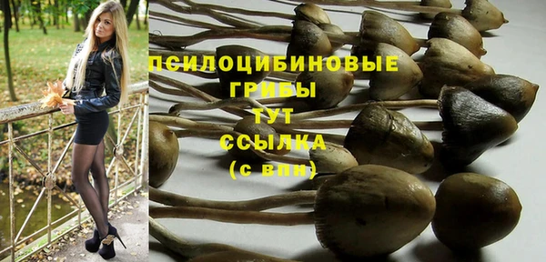 круглые Абаза