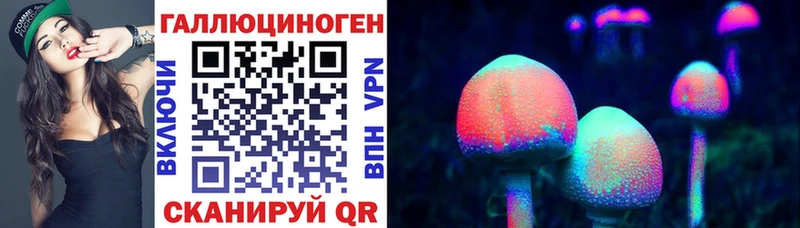 наркота  Прокопьевск  Галлюциногенные грибы мицелий 
