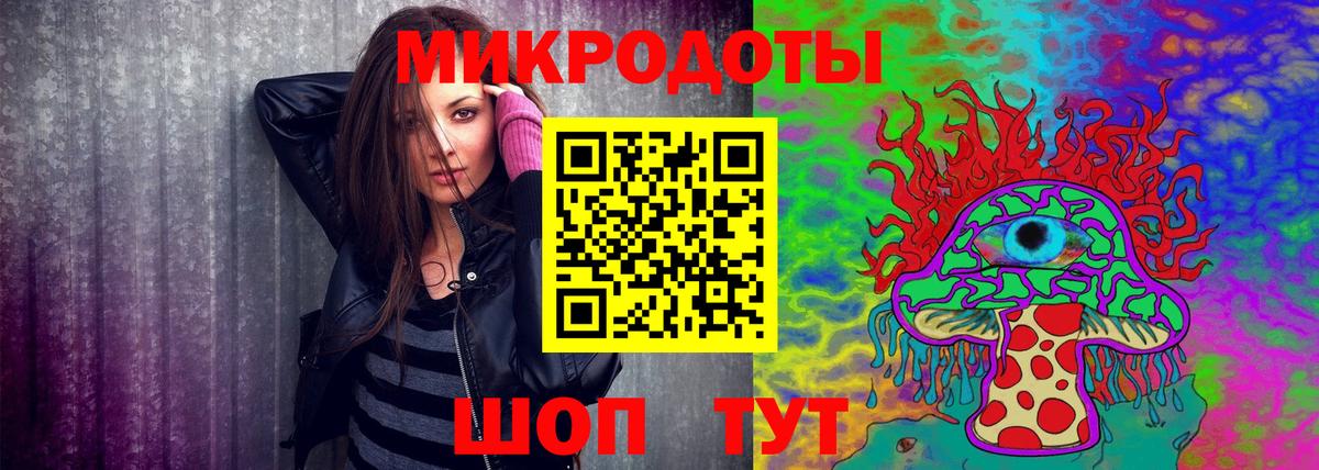 Псилоцибиновые грибы Psilocybine cubensis Прокопьевск